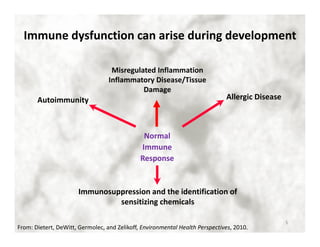 Immune dysfunction can arise during development 
Misregulated Inflammation 
Inflammatory / 
Disease/Tissue 
Damage 
Autoim...