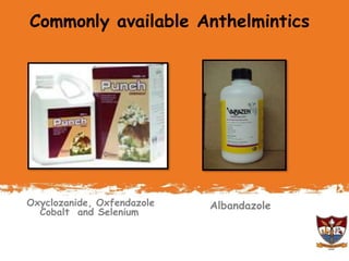 Deworming in animals- An overview of Anthemintics | PPTX