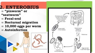 Pinworm Tree Deworming PPT for all activities each section.pptx