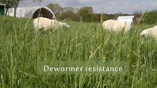 Dewormer resistance
 