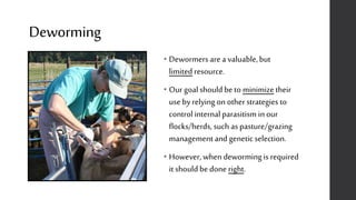 Deworming
• Dewormers are a valuable,but
limited resource.
• Our goalshould be to minimize their
use by relying on other strategies to
control internal parasitism in our
flocks/herds, such as pasture/grazing
management and genetic selection.
• However, when dewormingis required
it should be done right.
 