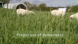 Proper use of dewormers
 