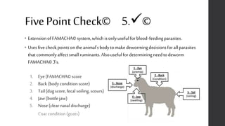 FivePointCheck© 5.©
• ExtensionofFAMACHA©system,whichisonlyusefulfor blood-feedingparasites.
• Usesfivecheck pointsonthe animal’sbodyto make dewormingdecisionsfor all parasites
thatcommonlyaffectsmallruminants.Alsousefulfor determiningneed to deworm
FAMACHA©3’s.
1. Eye(FAMACHA©score
2. Back (bodyconditionscore)
3. Tail(dagscore,fecalsoiling,scours)
4. Jaw (bottlejaw)
5. Nose(clear nasaldischarge)
Coat condition(goats)
 