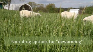 Non-drug options for “deworming”
 