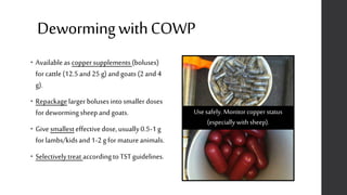 DewormingwithCOWP
• Availableas coppersupplements (boluses)
for cattle(12.5and 25 g) andgoats (2 and 4
g).
• Repackage larger bolusesintosmallerdoses
for dewormingsheepandgoats.
• Give smallesteffectivedose,usually0.5-1g
for lambs/kidsand 1-2 g for matureanimals.
• Selectivelytreat accordingto TSTguidelines.
Usesafely. Monitor copperstatus
(especially with sheep).
 