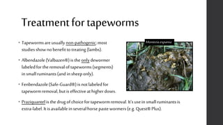 Treatmentfortapeworms
• Tapewormsare usually non-pathogenic;most
studiesshownobenefitto treating(lambs).
• Albendazole(Valbazen®)is the onlydewormer
labeledfor theremovaloftapeworms(segments)
insmallruminants(and insheeponly).
• Fenbendazole(Safe-Guard®)is notlabeledfor
tapewormremoval,butis effectiveat higherdoses.
• Praziquantel isthe drugof choicefor tapewormremoval. It’susein small ruminantsis
extra-label.It is availableinseveralhorsepastewormers (e.g.Quest®Plus).
Monieziaexpansa_
 