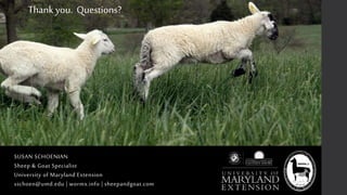 SUSAN SCHOENIAN
Sheep & Goat Specialist
University of Maryland Extension
sschoen@umd.edu | wormx.info | sheepandgoat.com
Thank you. Questions?
 