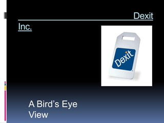 Dexit
Inc.




  A Bird’s Eye
  View
 