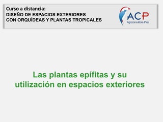 Las plantas epífitas y su
utilización en espacios exteriores
Curso a distancia:
DISEÑO DE ESPACIOS EXTERIORES
CON ORQUÍDEAS Y PLANTAS TROPICALES
 
