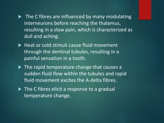  The C fibres are influenced by many modulating
interneurons before reaching the thalamus,
resulting in a slow pain, which is characterized as
dull and aching.
 Heat or cold stimuli cause fluid movement
through the dentinal tubules, resulting in a
painful sensation in a tooth.
 The rapid temperature change that causes a
sudden fluid flow within the tubules and rapid
fluid movement excites the A-delta fibres.
 The C fibres elicit a response to a gradual
temperature change.
 