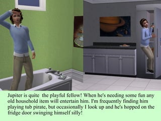 Jupiter is quite  the playful fellow! When he's needing some fun any old household item will entertain him. I'm frequently finding him playing tub pirate, but occasionally I look up and he's hopped on the fridge door swinging himself silly! 