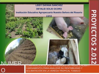 LEIDY DAYANA SANCHEZ
                  DEYALID SOLIS OCORO
Institución Educativa Agropecuaria Nuestra Señora del Rosario
                           2.012
 