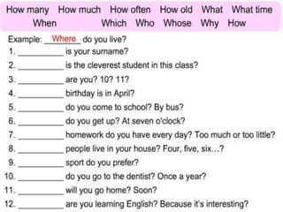 Deyner mena mena 1077446266