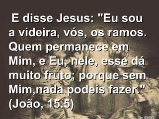 E disse Jesus: "Eu sou a videira, vós, os ramos. Quem permanece em Mim, e Eu, nele, esse dá muito fruto; porque sem Mim,nada podeis fazer." (João, 15.5) By ®I©O 