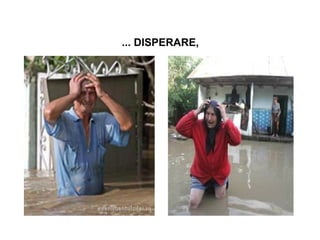... DISPERARE,
 