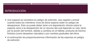 INTRODUCCIÓN:
 Una especie se considera en peligro de extinción, sea vegetal o animal
cuando todos los miembros vivos de dicha especie están en peligro de
desaparecer. Esto se puede deber tanto a la depredación directa sobre la
especie como a la desaparición de un recurso del cual depende su vida, tanto
por la acción del hombre, debido a cambios en el hábitat, producto de hechos
fortuitos (como desastres naturales) o por cambios graduales del clima.
 A continuación les proporcionaremos información de las especies en peligro
de extinción:
 