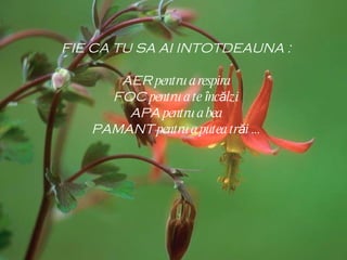 FIE CA TU SA AI INTOTDEAUNA : AER  pentru a respira FOC  pentru a te  î nc ă lzi APA  pentru a bea PAMANT  pentru a putea tr ă i ... 