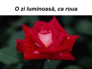O zi luminoas ă , ca roua 