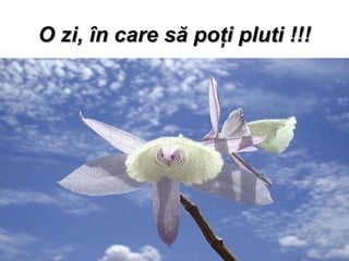 O zi,  î n care s ă  po ţ i pluti !! ! 