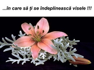 ... î n care s ă   ţ i se  î ndeplineasc ă  visele !!! 