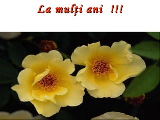 La mul ţ i ani  !!! http://www.slideshare.net/cristinam4444 