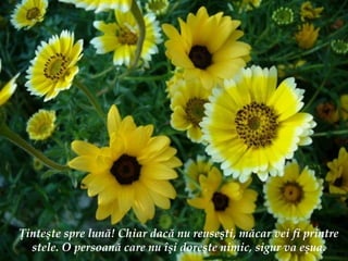 Ţ inte ş te spre lun ă ! Chiar dac ă  nu reuse ş ti, m ă car vei fi printre stele. O persoan ă  care nu  îş i dore ş te nimic, sigur va e ş ua. 