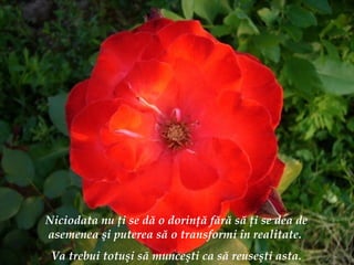 Niciodata nu  ţ i se d ă  o dorin ţă  f ă r ă  s ă   ţ i se dea de asemenea  ş i puterea s ă  o transformi  î n realitate.  Va trebui totu ş i s ă  munce ş ti ca s ă  reuse ş ti asta. 
