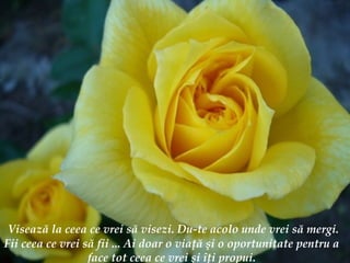 Viseaz ă  la ceea ce vrei s ă  visezi. Du-te acolo unde vrei s ă  mergi. Fii ceea ce vrei s ă  fii ... Ai doar o via ţă   ş i o oportunitate pentru a face tot ceea ce vrei  ş i  îţ i propui. 
