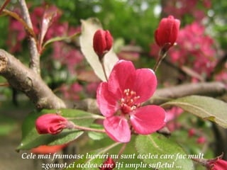 Cele mai frumoase lucruri nu sunt acelea care fac mult zgomot,ci acelea care  îţ i umplu sufletul ...   