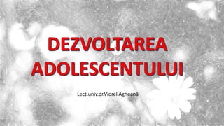 Lect.univ.dr.Viorel Agheană
 
