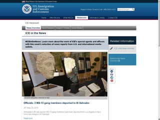 DHS WEB BRANDING GUIDELINES PROJECT / ICE.GOV INTERNET WEB SITE