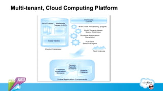 Multi-tenant, Cloud Computing Platform
 