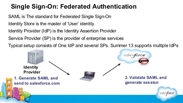 introduction to the salesforce security model salesforce security model