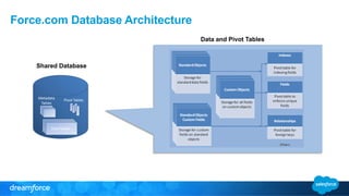 Force.com Database Architecture 
Shared Database 
Data and Pivot Tables 
 