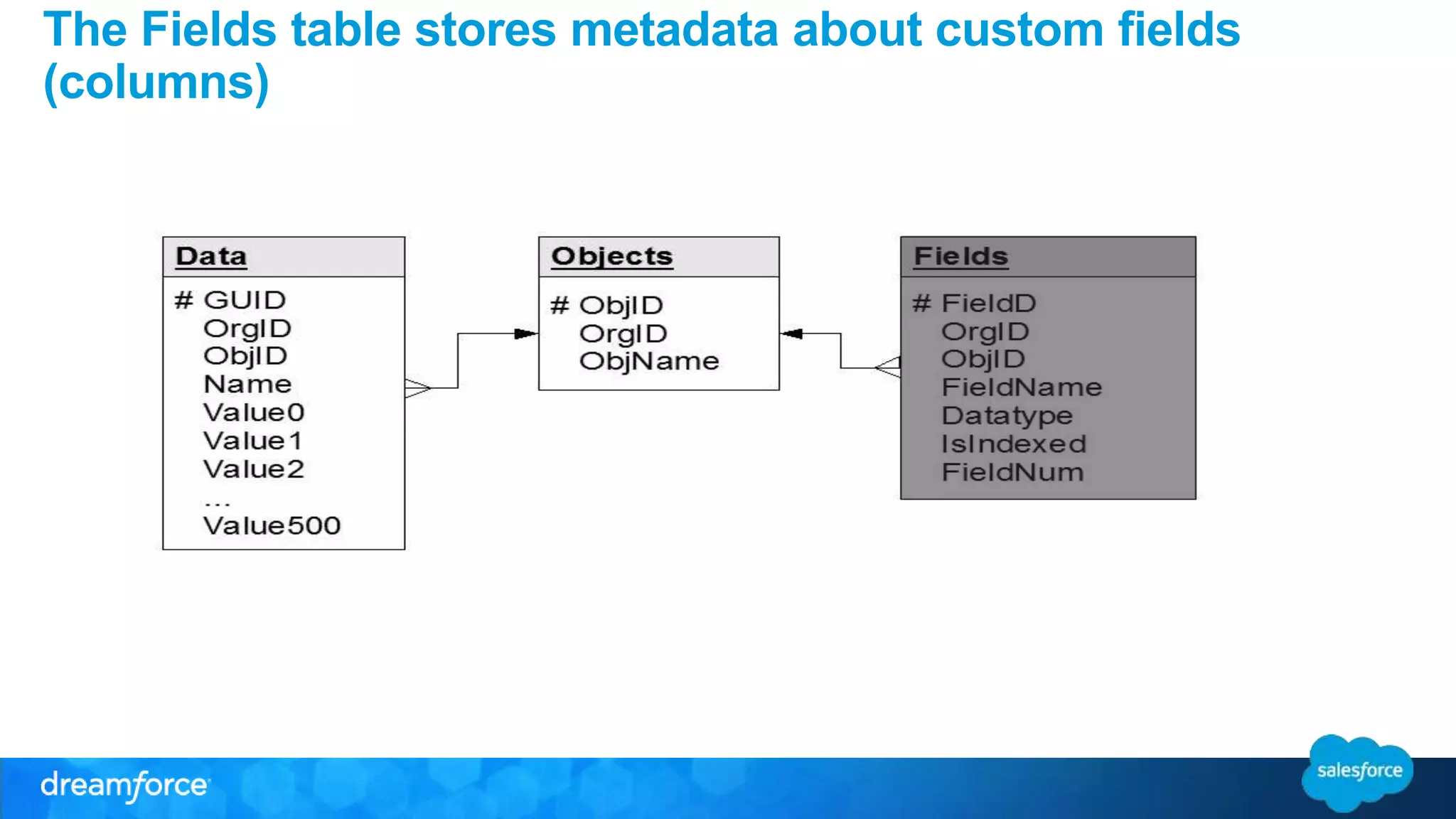 The Fields table stores metadata about custom fields 
(columns) 
 