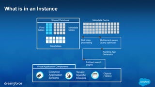 What is in an Instance 
Pivot 
tables 
Shared Database Metadata Cache 
Data tables 
Metadata 
tables 
Bulk data 
processing 
Multitenant aware 
Query optimizer 
Runtime App 
Generator 
Full text search 
engine 
Virtual Application Components 
Common 
Application 
Screens 
Tenant 
Specific 
Screens 
Objects 
(Tables) 
 