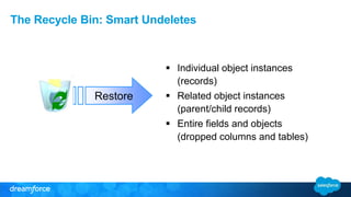 The Recycle Bin: Smart Undeletes 
Restore 
 Individual object instances 
(records) 
 Related object instances 
(parent/child records) 
 Entire fields and objects 
(dropped columns and tables) 
 