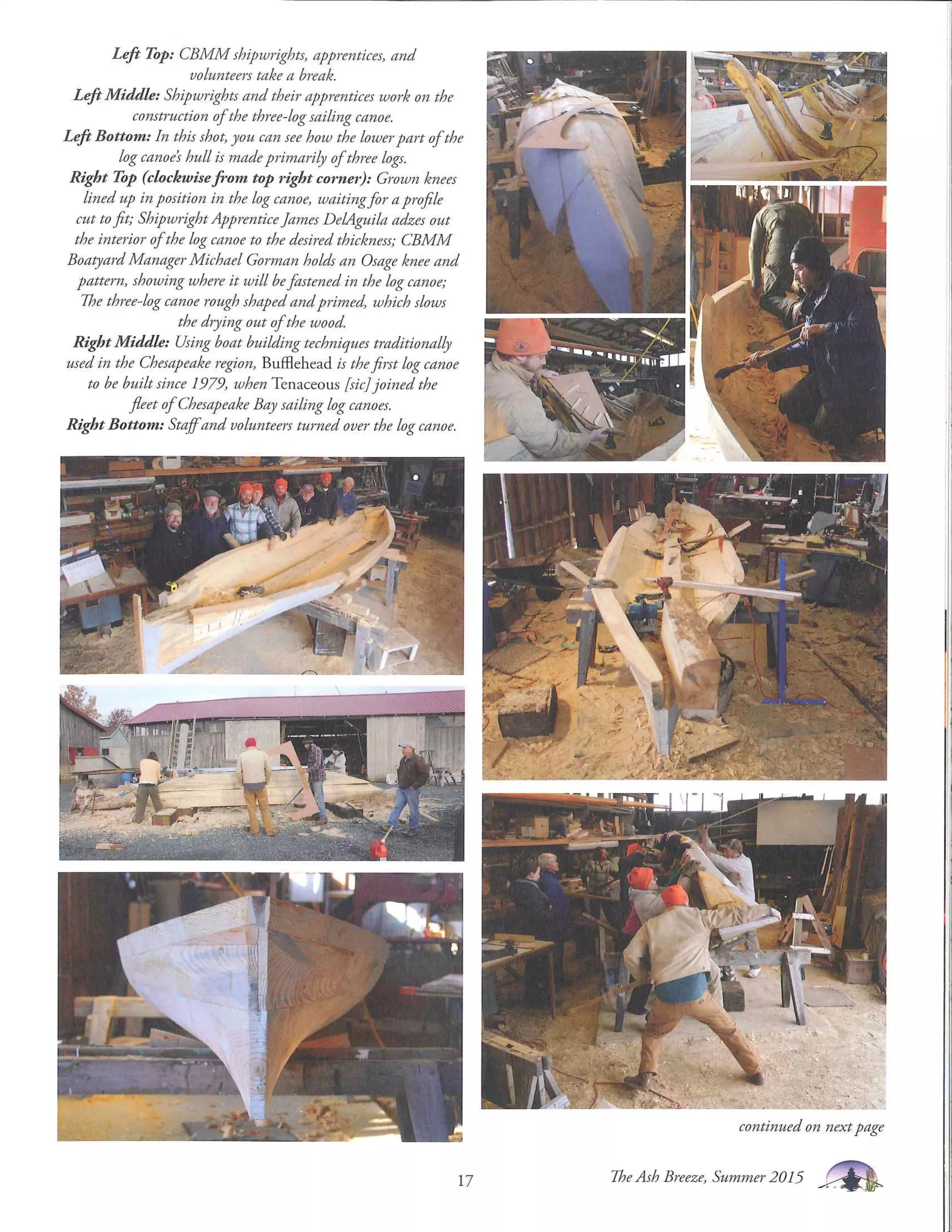 CBMM AshBreeze Summer2015