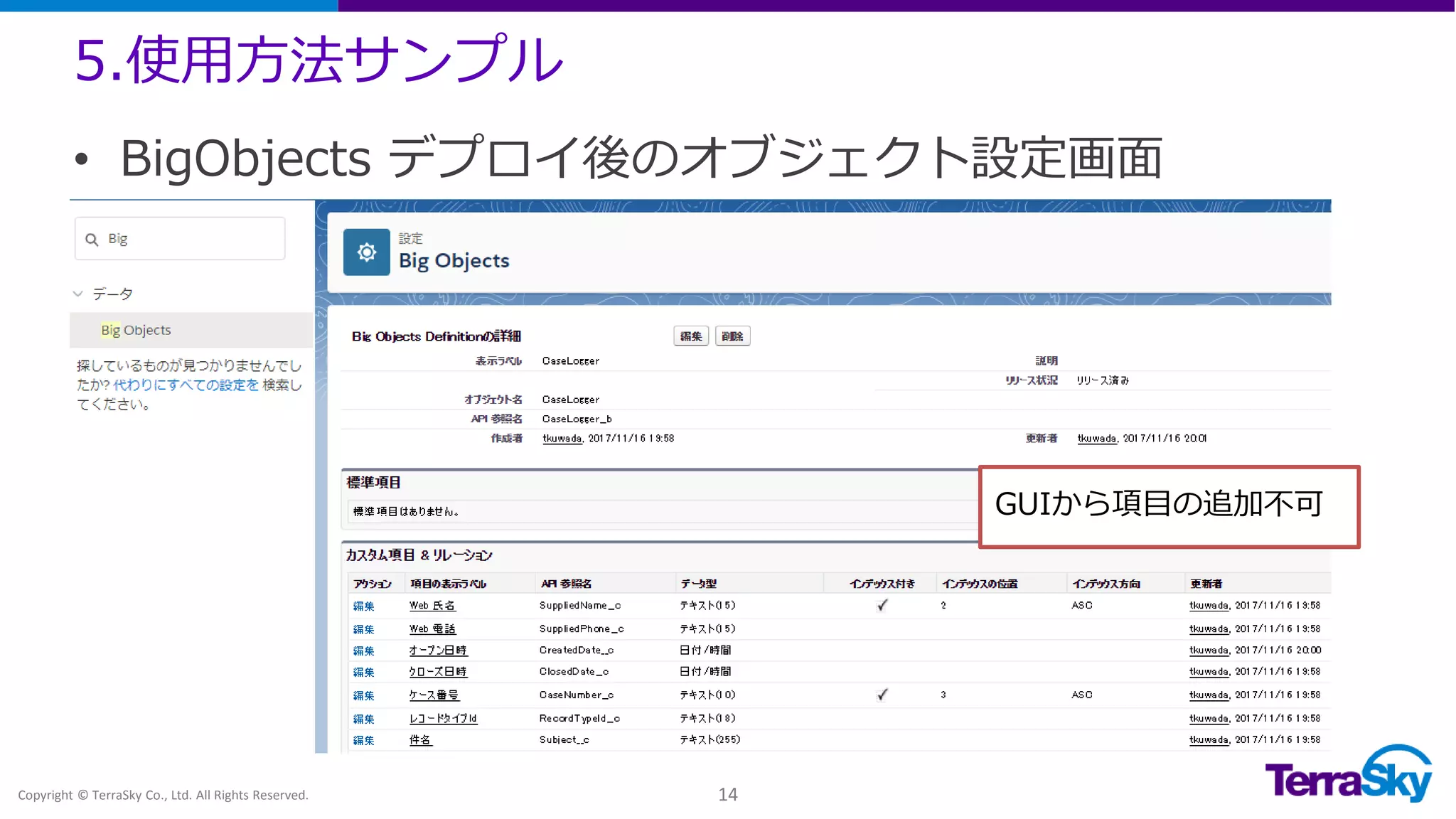 5.使用方法サンプル
Copyright © TerraSky Co., Ltd. All Rights Reserved. 14
• BigObjects デプロイ後のオブジェクト設定画面
GUIから項目の追加不可
 