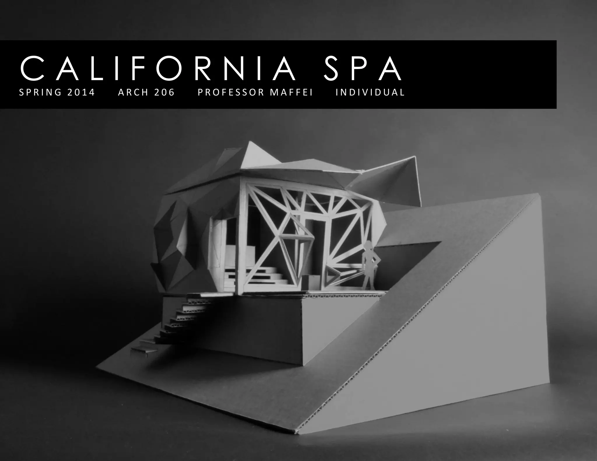 C A L I F O R N I A S P AS P R I N G 2 0 1 4 A R C H 2 0 6 P R O F E S S O R M A F F E I I N D I V I D U A L
 