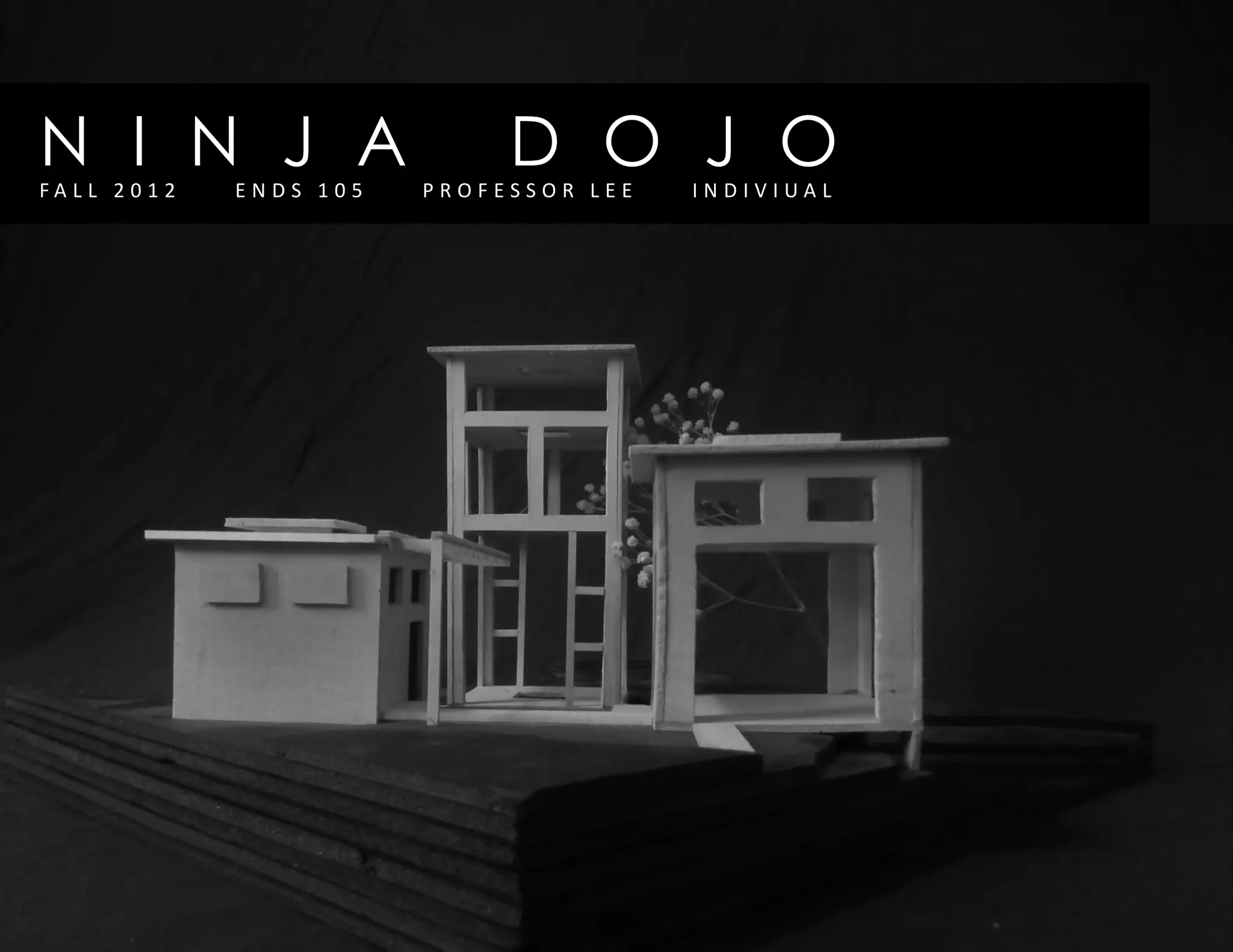 N I N J A D O J OF A L L 2 0 1 2 E N D S 1 0 5 P R O F E S S O R L E E I N D I V I U A L
 