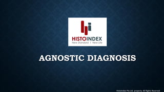 AGNOSTIC DIAGNOSIS
HistoIndex Pte.Ltd. property. All Rights Reserved
 