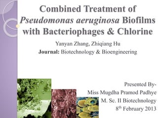 Combined Treatment of
Pseudomonas aeruginosa Biofilms
with Bacteriophages & Chlorine
Yanyan Zhang, Zhiqiang Hu
Journal: Biotechnology & Bioengineering
Presented By-
Miss Mugdha Pramod Padhye
M. Sc. II Biotechnology
8th
February 2013
 