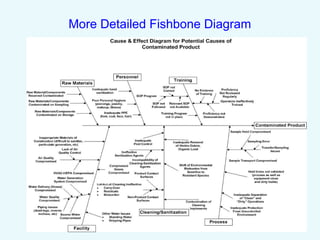 More Detailed Fishbone Diagram
 