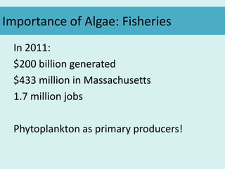 Importance of Algae: Fisheries
In 2011:
$200 billion generated
$433 million in Massachusetts
1.7 million jobs
Phytoplankton as primary producers!
 