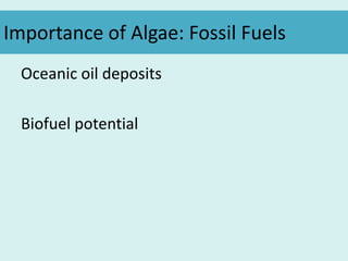 Importance of Algae: Fossil Fuels
Oceanic oil deposits
Biofuel potential
 