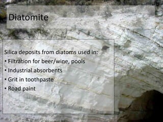 Diatomite
Silica deposits from diatoms used in:
• Filtration for beer/wine, pools
• Industrial absorbents
• Grit in toothpaste
• Road paint
 