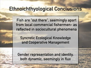 Ethnoichthyological Conclusions
Syncretic Ecological Knowledge
and Cooperative Management
Fish are "out there", seemingly apart
from local commercial fishermen- as
reflected in sociocultural phenomena
Gender representation and identity,
both dynamic, seemingly in flux
 