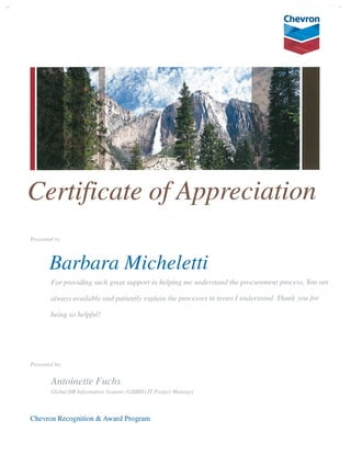 03-04-14 - BARBARA MICHELETTI - ANTOINETTE FUCHS - APPRECIATION