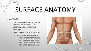 SURFACE ANATOMY
• ABDOMEN
• TWO COMMONLY USED CLINICAL
METHODS OF DIVIDING THE
ABDOMEN FOR DESCRIPTIVE
PURPOSES.
• FIRST – GENERAL LOCALIZATION
• DIVIDED INTO 4 QUADRANTS
• RIGHT UPPER QUADRANT (RUQ)
• LEFT UPPER QUADRANT (LUQ)
• RIGHT LOWER QUADRANT (RLQ)
• LEFT LOWER QUADRANT (LLQ)
 